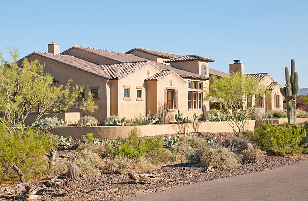 Luxury Division Arizona home with landscaped yard